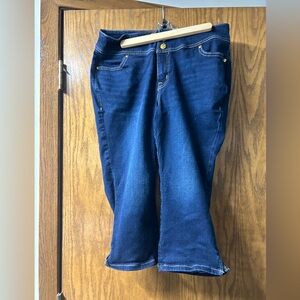 Lane Bryant stretch capris